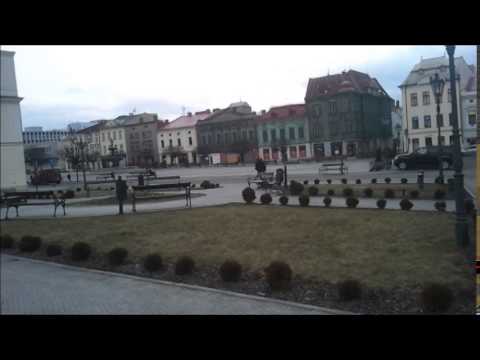 Black Cat Zoot - No Swinging In Your Walking