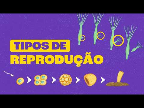 Sexual and asexual reproduction of living beings