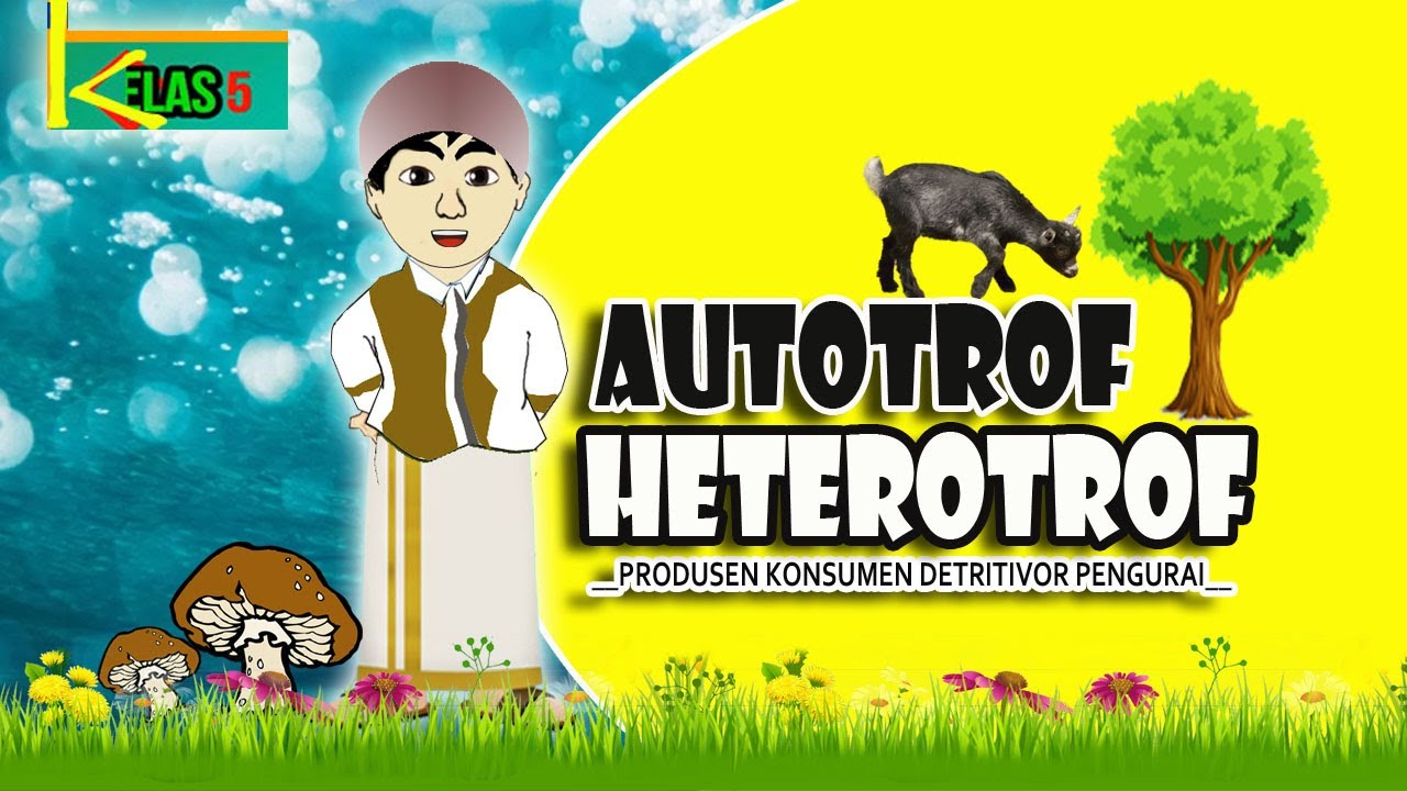 AUTOTROF DAN HETEROTROF - Materi Pelajaran IPA Kelas 5