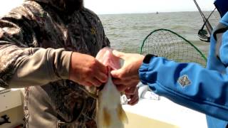 Wayne gives pooh bear a heart attack