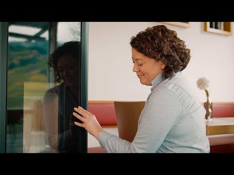 RAKSO Kamin Scheiben Reiniger