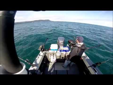 2015 Strait of Juan De Fuca Halibut Fish
