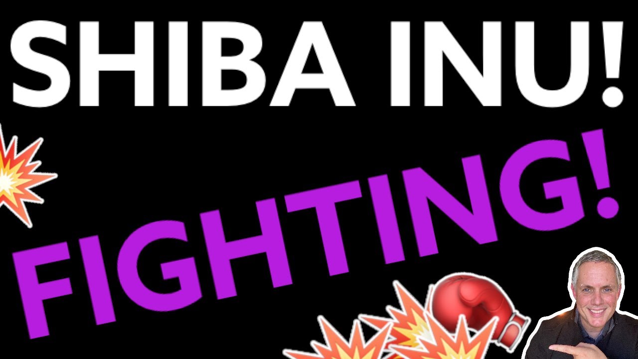 SHIBA INU – FIGHTING TO WIN! SHIBA INU COIN NEWS TODAY!