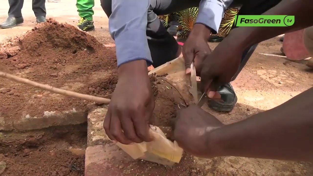 Année 2025 : Zoom sur les grandes actions du MEEA