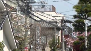 Premiata Forneria Marconi - Dolcissima Maria (live)