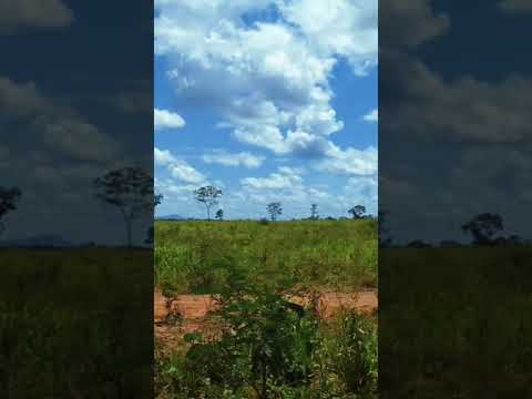 FAZENDA DE  146 ALQUEIRES EM ARRAIAS TOCANTINS   DUPLA APTI CAPACIDADE PARA 800 BOIS ZAP 77999813915