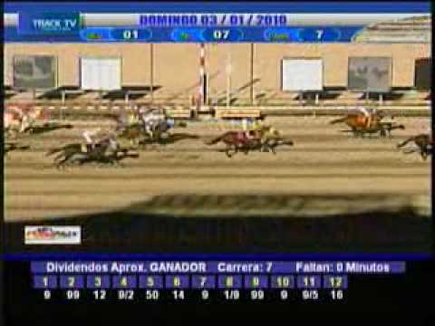 Resumen 3 de enero de 2010 - La Rinconada