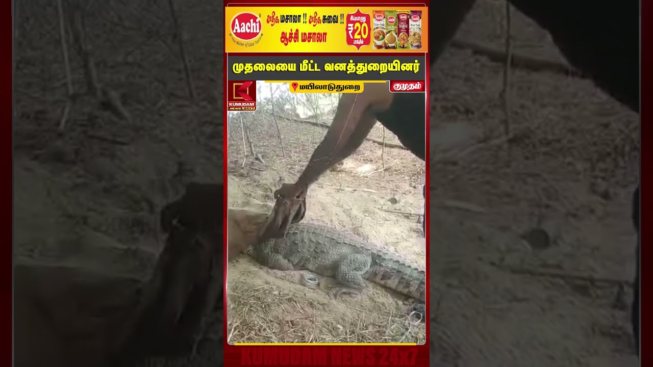 குளத்தில் புகுந்த முதலை..! கிராம மக்களை அச்சுறுத்திய முதலையை மீட்ட வனத்துறையினர் | Crocodile Rescue