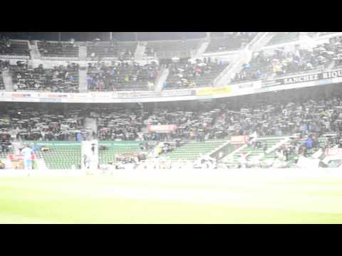 ElcheDirecto.com | La afición en el Elche-Levante