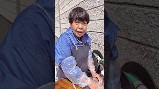 最高の仕事場です👍️#仕事 #就職 #職場 #田舎 #田舎暮らし
