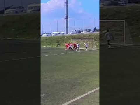 Sličica videa
