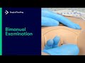 How To Perform A Bimanual Exam