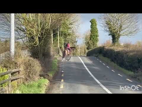 Lots 169-172 Clifden sales - Image 2