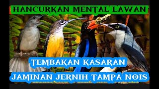 Download lagu masteran kasar dan tajam pijantung tengkek udang kapas tembak dan jinjing petulak mp3
