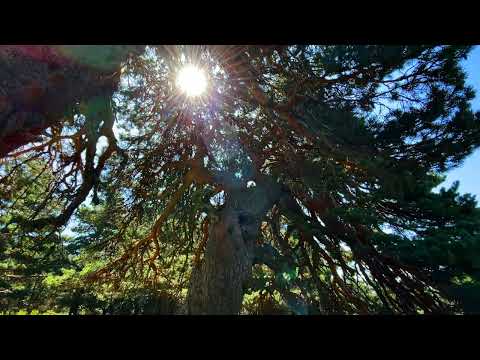Senda del Valle La Paúl (Laguna Negra y Circos Glaciares de Urbión – Soria)
