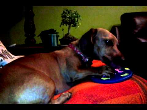 Sariri despues de una gritada