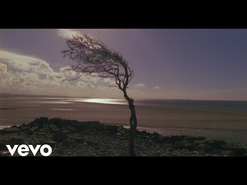 Joel Baker - Harder To Fall (Official Video)