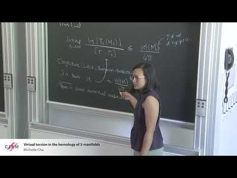 Michelle Chu: Virtual torsion in the homology of 3-manifolds