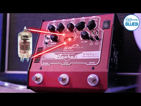 Taurus Amplification Stomp-Head 8 Qube Amplifier - Powerful & Portable!