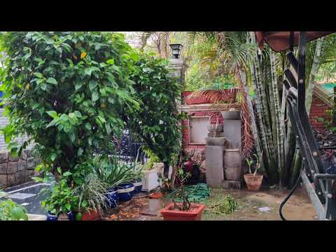 Karan Singh phone call 