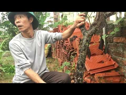 Um ponto de vista no estudo da educação física adaptada