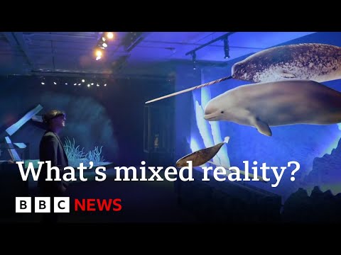 Video | What a 'mixed reality' experience tells us about the future of the natural world | BBC News