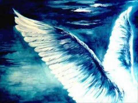 O mundo é bão sebastião