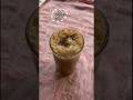 Cold Coffee Episode 2 Shorts Ytshorts Coldcoffee Food Shortsvideo Viralvideo Trending