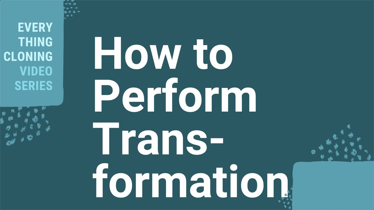 How to Perform Transformation