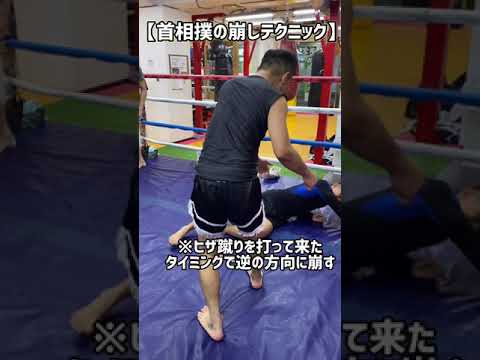 【格闘技】首相撲からの崩しテクニック！　#shorts