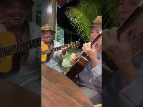 Flor Amarela - Zé Mulato e Cassiano