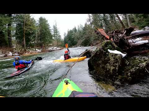 Snowy Coyote SF Snoqualmie