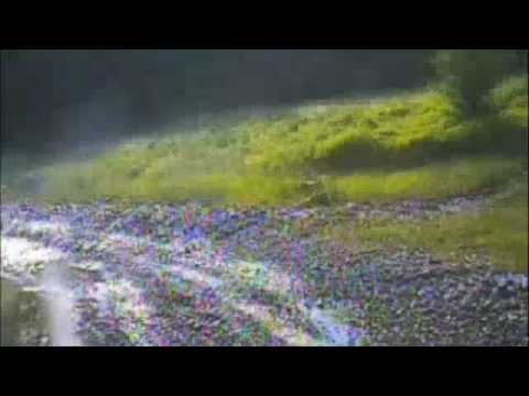 Eurocarpatica Baja 2008 - Victor Fulicea & Dragos Jinga