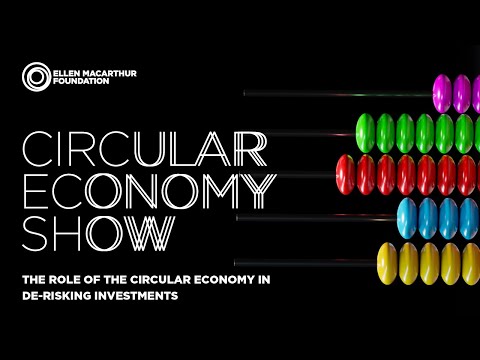 The de-risking effect of the circular economy on investments