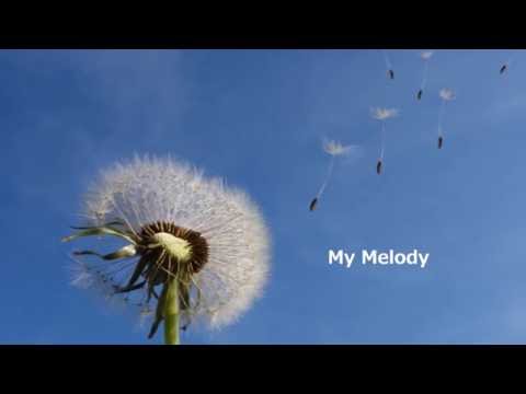 シン・スンスフン신승훈　My Melody (日本語訳&韓国語発音ルビ）