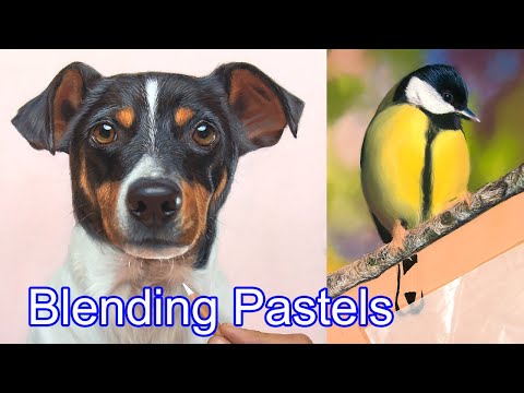 Most Important Tips for Blending Pastel Pencil / PanPastel