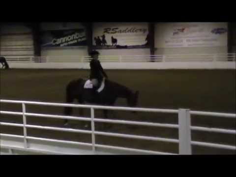 Vika and Indy MN Masters AQHA Show 10 2 14