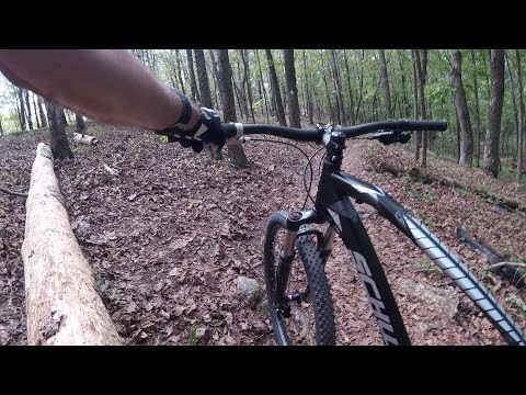 Trail Review of my Upgraded Schwinn Taff 29er Hard Tail, it shreds!