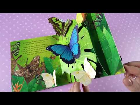 Книга Pop-Up Butterflies video 2