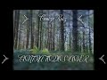 Contra Todos Cover