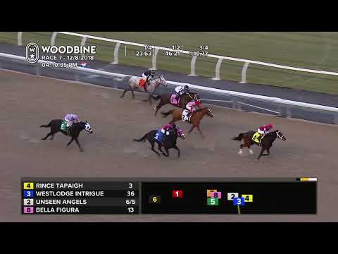 Woodbine, December 8, 2018 - Race 7