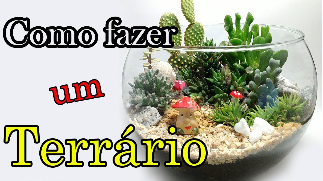 Como fazer e regar um terrário!!!