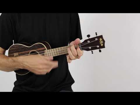 Kala KA-EBY-S Striped Ebony Soprano Ukulele | The Ukebug