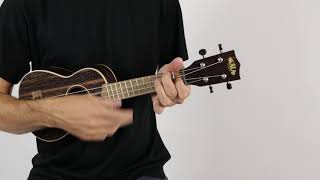 Video thumbnail for Kala KA-EBY-S Striped Ebony Soprano Ukulele | The Ukebug by The Ukebug
