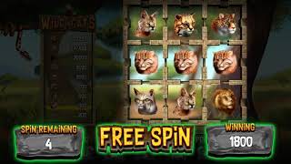 Virginia Skill Game - Wild Cats Free Spins! - VA Skill Machine