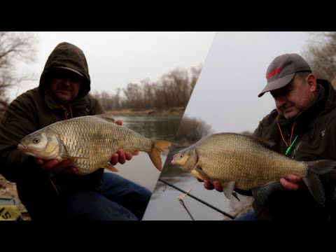 Feederom na kapitalne deverike i plotice, učinkoviti kombinirani predvez