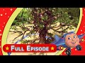Jay Jay The Jet Plane Problem In Panagbula Full Episode