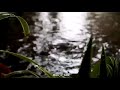 Kalame Poyidam Chekuthan Whatsapp Status Beatz Of Love