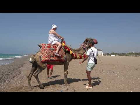 Jízda na velbloudovi - turistická atrakce  na Turecké riviéře