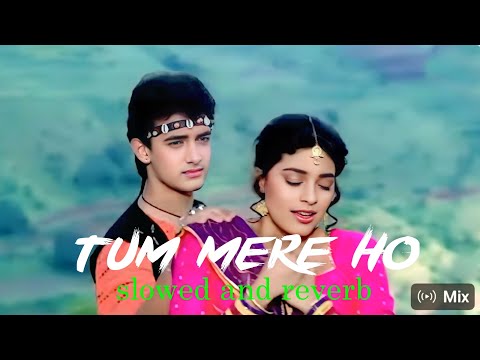 Tum Mere Ho - lofi ( slowed + Reverd ) | Udit Narayan | Alka Yagnik |  Aamir Khan | love song